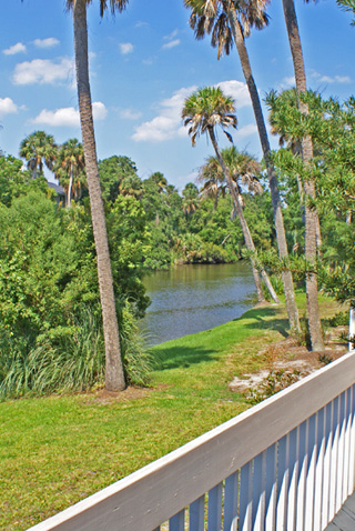 Back Porch