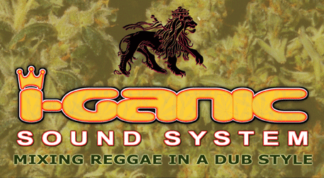 Welcome to the I-Ganic Sound System